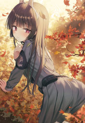 Rule 34 | 1girl, all fours, ass, autumn leaves, blue archive, blunt bangs, blush, branch, brown hair, closed mouth, commentary, grey serafuku, grey shirt, grey skirt, halo, hand up, headgear, highres, kuro futoshi, leaf, long hair, long sleeves, looking at viewer, looking back, maple leaf, miyu (blue archive), pleated skirt, red eyes, sailor collar, school uniform, serafuku, shirt, skirt, solo, very long hair, white sailor collar
