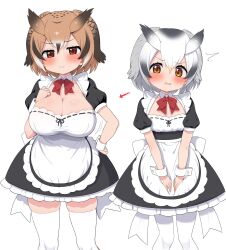 2girls alternate_costume animal_ears apron arrow_(symbol) black_dress black_hair blush bow breast_envy breasts brown_eyes brown_hair commentary detached_collar dress enmaided eurasian_eagle_owl_(kemono_friends) flat_chest frilled_apron frilled_dress frills grey_hair hair_between_eyes head_wings highres juliet_sleeves kemono_friends large_breasts long_sleeves looking_at_viewer maid maid_apron multicolored_hair multiple_girls northern_white-faced_owl_(kemono_friends) open_mouth owl_ears pantyhose puffy_short_sleeves puffy_sleeves ransusan short_hair short_sleeves simple_background skindentation solo surprised thighhighs waist_apron white_apron white_hair wings wrist_cuffs