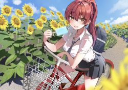 Rule 34 | 1girl, absurdres, alternate hairstyle, bag, bicycle, blue sky, blush, cloud, commentary request, flower, food, grey necktie, grey skirt, heterochromia, highres, holding, holding food, hololive, houshou marine, long hair, looking at viewer, necktie, outdoors, ponytail, popsicle, red eyes, red hair, school bag, school uniform, shirt, short sleeves, skirt, sky, solo, striped necktie, summer, sunflower, virtual youtuber, white shirt, yellow eyes, yoshioka pochi