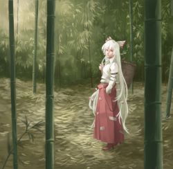 Rule 34 | 1girl, armband, bamboo, bamboo forest, bow, casket, cigarette, closed mouth, collared shirt, day, expressionless, forest, from side, fujiwara no mokou, full body, hair bow, hair over shoulder, hair ribbon, hand in pocket, hand up, lips, long hair, long skirt, long sleeves, looking at viewer, mouth hold, nagi (xx001122), nature, ofuda, ofuda on clothes, outdoors, red eyes, ribbon, shirt, skirt, smoke, smoking, solo, standing, suspender skirt, suspenders, touhou, very long hair, white hair, wing collar