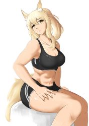 Rule 34 | 1girl, abs, absurdres, animal ear fluff, animal ears, arknights, bare arms, bare shoulders, black shorts, blonde hair, breasts, cleavage, commentary, crop top, feet out of frame, hair between eyes, head tilt, highres, horse girl, large breasts, long hair, looking at viewer, midriff, navel, nearl (arknights), short shorts, shorts, simple background, sitting, solo, sports bra, stomach, tail, thighs, tofu (killer150), white background, yellow eyes