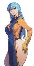 Rule 34 | 1girl, blue hair, bottomless, bow (bhp), breasts, brown eyes, closed mouth, dragon quest, dragon quest iii, from side, gloves, groin, large breasts, long hair, long sleeves, looking at viewer, looking to the side, priest (dq3), smile, smug, solo, standing, tabard, yellow gloves