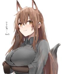 Rule 34 | 1girl, animal ears, arknights, arm under breasts, breasts, brown hair, character name, extra ears, fox ears, fox girl, fox tail, franka (arknights), grey shirt, highres, horn/wood, large breasts, long hair, looking at viewer, shirt, simple background, smile, solo, tail, upper body, white background, yellow eyes