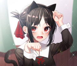 Rule 34 | 1girl, animal ears, arm up, black dress, black hair, black hairband, blurry, blurry background, blush, cat ears, cat girl, cat tail, collared shirt, commentary, curtains, depth of field, dress, fake animal ears, fingernails, folded ponytail, hair ribbon, hairband, highres, indoors, kaguya-sama wa kokurasetai ~tensai-tachi no renai zunousen~, kemonomimi mode, long sleeves, looking at viewer, neck ribbon, open mouth, parted bangs, paw pose, red eyes, red ribbon, ribbon, romaji commentary, school uniform, shinomiya kaguya, shirt, shuuchiin academy school uniform, sidelocks, solo, tail, tail raised, the cold, upper body