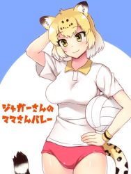 Rule 34 | 10s, 1girl, alternate costume, animal ear fluff, animal ears, arm behind head, bad id, bad twitter id, ball, blonde hair, blush, buruma, collared shirt, commentary request, cowboy shot, female focus, hand on own hip, holding, holding ball, jaguar (kemono friends), jaguar ears, jaguar print, jaguar tail, kemono friends, multicolored hair, red buruma, shirt, short hair, short sleeves, solo, sportswear, t-shirt, tail, totokichi, translation request, volleyball (object), yellow eyes