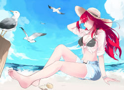 Rule 34 | 1girl, adjusting hair, alternate costume, arm support, barefoot, beach, bikini, bikini under clothes, bird, black bikini, bracelet, breasts, cleavage, cloud, crimson avenger (elsword), day, elesis (elsword), elsword, feet, from side, full body, hand on headwear, hat, highres, jewelry, large breasts, legs, long hair, looking to the side, ocean, open clothes, open shorts, outdoors, red eyes, red hair, seagull, seashell, see-through, shell, shiliuye feiyu, shirt, shorts, sitting, sky, sleeves rolled up, solo, straw hat, swimsuit, tied shirt, toes, torn clothes, torn shorts, waving, wet, wind