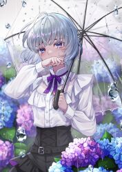 Rule 34 | 1girl, belt, black belt, black skirt, blue eyes, blush, buttoned cuffs, buttons, clenched hand, covering own mouth, cowboy shot, crying, crying with eyes open, flower, grey hair, hands up, haori, high-waist skirt, highres, holding, holding umbrella, hydrangea, japanese clothes, long sleeves, looking at viewer, neck ribbon, original, piroshiki (piroshiki13), purple ribbon, rain, ribbon, shirt, shirt tucked in, short hair, skirt, solo, tears, transparent, transparent umbrella, umbrella, white shirt