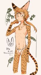 Rule 34 | 1boy, animal ears, body fur, brown background, brown fur, brown hair, bulge, cat boy, cat ears, cat tail, closed mouth, commentary request, cropped legs, extra nipples, facial mark, fundoshi, hand up, highres, japanese clothes, looking at viewer, male focus, monster boy, original, plant, sasamichr, short eyebrows, short hair, simple background, slit pupils, solo, standing, tail, translation request, yellow eyes