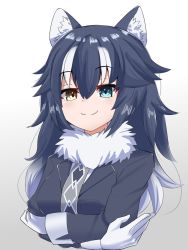 Rule 34 | 1girl, animal ear fluff, animal ears, artist request, black hair, blue eyes, breasts, commentary, commentary request, crossed arms, fur collar, gloves, gradient background, grey wolf (kemono friends), heterochromia, highres, kemono friends, looking at viewer, medium breasts, multicolored hair, necktie, solo, two-tone hair, white gloves, white hair, wolf ears, wolf girl, yellow eyes