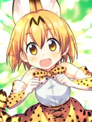 Rule 34 | 10s, 1girl, :d, animal ears, bare shoulders, blonde hair, blush, bow, bowtie, cat ears, cat tail, elbow gloves, eyelashes, gloves, green background, hair between eyes, highres, kemono friends, looking at viewer, open mouth, print bow, print skirt, serval, serval (kemono friends), serval print, serval tail, short hair, skirt, sleeveless, smile, solo, tail, yellow bow, yellow bowtie, yellow eyes, yellow skirt, yuuki keisuke