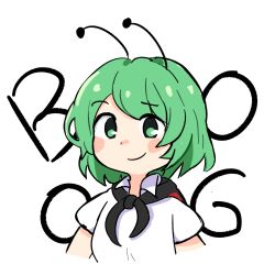 1girl absurdres antennae black_cape blush_stickers cape closed_mouth collared_shirt commentary ferdy&#039;s_lab green_eyes green_hair highres looking_at_viewer red_cape shirt short_sleeves smile solo touhou two-sided_cape two-sided_fabric white_shirt wriggle_nightbug