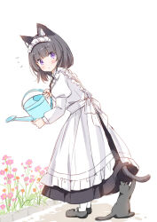Rule 34 | 1girl, animal, animal ear fluff, animal ears, apron, black cat, black footwear, black hair, black skirt, blush, cat, cat ears, closed mouth, commentary request, flower, frilled apron, frills, full body, holding, juliet sleeves, komugi (wataame27), long sleeves, maid, maid apron, maid headdress, original, pantyhose, puffy sleeves, purple eyes, purple flower, shirt, shoes, short hair, simple background, skirt, solo, wataame27, watering can, white apron, white background, white pantyhose, white shirt