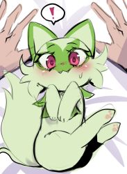 Rule 34 | !, ..., 1boy, 1girl, :3, animal ears, animal hands, animal nose, bed sheet, blush, body fur, cat, cat ears, cat tail, creatures (company), embarrassed, eyelashes, face, fangs, flipped hair, game freak, green fur, heart, heart in eye, highres, hinghoi, nervous, nintendo, out of frame, outstretched hand, pink eyes, pokemon, pokemon (creature), pokephilia, pov, pov hands, size difference, sketch, solo focus, speech bubble, spoken exclamation mark, sprigatito, sweatdrop, symbol in eye, tail