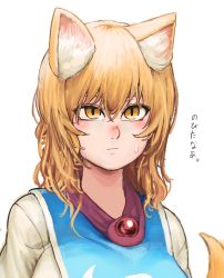 Rule 34 | 1girl, absurdres, alternate hair length, alternate hairstyle, animal ear fluff, animal ears, blush, breasts, brooch, chanta (ayatakaoisii), fox ears, fox tail, highres, jewelry, looking at viewer, medium hair, nose blush, portrait, shirt, simple background, slit pupils, solo, sweatdrop, tabard, tail, touhou, upper body, white background, white shirt, yakumo ran, yellow eyes
