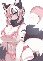 Rule 34 | 1girl, :&lt;, animal ear fluff, animal ears, animal nose, arm under breasts, black hair, blue eyes, blush, body fur, bra, commentary, commission, english commentary, eyeshadow, frown, furry, furry female, hair over one eye, highres, holding own arm, looking at viewer, makeup, multicolored hair, navel, one eye covered, original, panties, pink bra, pink hair, pink panties, red eyeshadow, short hair, signature, solo, streaked hair, tail, underwear, white fur, zakro
