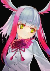 Rule 34 | 10s, 1girl, black background, blunt bangs, breasts, buttons, fur trim, head wings, highres, japanese crested ibis (kemono friends), kemono friends, long hair, long sleeves, looking to the side, multicolored hair, open mouth, ruisento, shirt, sidelocks, simple background, slit pupils, solo, two-tone hair, upper body, white hair, wings, yellow eyes