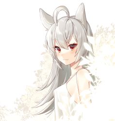 Rule 34 | 1girl, ahoge, animal ears, bare shoulders, blush, breasts, cat ears, closed mouth, copyright request, dog ears, dress, fang, fang out, from side, highres, ia (ias1010), long hair, looking at viewer, looking to the side, partially colored, red eyes, silver hair, simple background, sleeveless, sleeveless dress, small breasts, smile, solo, straight hair, sundress, tsurime, upper body, white background, white dress, white theme