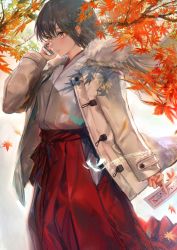 Rule 34 | 1girl, absurdres, autumn, autumn leaves, between fingers, black hair, brown eyes, cellphone, character request, coat, cowboy shot, duffel coat, falling leaves, fur trim, hakama, hakama skirt, highres, holding, hoojiro, japanese clothes, leaf, long hair, maple leaf, miko, ofuda, ofuda between fingers, phone, skirt, smartphone, solo, standing, talisman, talking on phone, white background