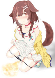 Rule 34 | 1girl, absurdres, animal collar, animal ears, black panties, blush, bone hair ornament, bow, bow panties, bracelet, braid, breasts, breath, brown hair, cleavage, clochetteravine, clothes lift, collar, collarbone, dog ears, dog girl, dog tail, dress, dress lift, hair ornament, highres, hololive, inugami korone, jacket, jewelry, large breasts, long hair, long sleeves, looking at viewer, loose socks, off shoulder, open clothes, open jacket, panties, panty pull, paw print, peeing, red legwear, shoes, sleeveless, sleeveless dress, socks, squatting, steam, tail, twin braids, underwear, virtual youtuber, white background, white dress, yellow eyes, yellow footwear, yellow jacket
