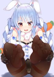 Rule 34 | 1girl, absurdres, animal ear fluff, animal ears, black gloves, black pantyhose, blue hair, blush, braid, breasts, cameltoe, carrot hair ornament, cleavage, feet, food-themed hair ornament, foot focus, full body, gloves, grabbing own thigh, grey background, hair ornament, heart, highres, hololive, leotard, light blue hair, long hair, looking at viewer, medium breasts, monkey kusai, multicolored hair, off shoulder, open mouth, pantyhose, playboy bunny, pom pom (clothes), rabbit ears, rabbit girl, red eyes, simple background, sitting, smile, soles, solo, thick eyebrows, thigh grab, twin braids, two-tone hair, usada pekora, usada pekora (1st costume), virtual youtuber, white hair