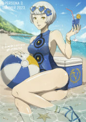 Rule 34 | 1girl, absurdres, ball, beach, beachball, blue flower, blue one-piece swimsuit, bob cut, bracelet, breasts, commission, cooler, cup, drinking glass, elizabeth (persona), eyewear on head, flower, food, fruit, hair flower, hair ornament, heart, heart-shaped eyewear, highres, jewelry, lemon, looking at viewer, one-piece swimsuit, parted lips, partially submerged, persona, persona 3, sandals, sideboob, sitting, small breasts, smile, solo, starfish, sunglasses, swimsuit, tak0baka, wine glass, yellow eyes