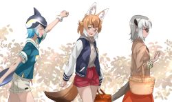 Rule 34 | 3girls, animal ears, arm up, basket, beige coat, black hair, blonde hair, blowhole, blue hair, blue jacket, blue shirt, blush, casual, cetacean tail, clenched hand, coat, common dolphin (kemono friends), cowboy shot, dhole (kemono friends), dog ears, dog girl, dog tail, dolphin girl, dorsal fin, drawstring, extra ears, fins, fish tail, glasses, grey hair, grey hoodie, highres, hood, hood down, hoodie, jacket, kemono friends, kemono friends 3, letterman jacket, light brown hair, long sleeves, meerkat (kemono friends), meerkat ears, meerkat tail, multicolored clothes, multicolored hair, multicolored jacket, multiple girls, official alternate costume, plaid trim, red shorts, red skirt, sailor collar, shirt, short hair, short shorts, short sleeves, shorts, skirt, t-shirt, tail, tanabe (fueisei), two-tone hair, two-tone jacket, white hair, white jacket, white shorts, yellow eyes