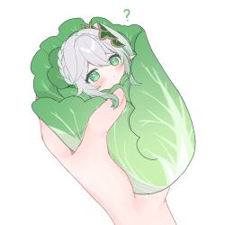 Rule 34 | 1girl, 1other, ?, braid, cabbage, cabbage swaddle, crown braid, food, genshin impact, gradient hair, green eyes, hair between eyes, hair ornament, highres, holding, holding food, holding vegetable, leaf hair ornament, long hair, looking at viewer, mixed-language commentary, mochi mochi052, multicolored hair, nahida (genshin impact), out of frame, pointy ears, pov, pov hands, side ponytail, sidelocks, simple background, single braid, streaked hair, symbol-shaped pupils, two-tone hair, vegetable, white background, white hair