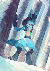 Rule 34 | closed mouth, commentary, commission, creature, creatures (company), dutch angle, english commentary, full body, furry, game freak, gen 4 pokemon, lucario, nintendo, pokemon, pokemon (creature), purple eyes, salanchu, serious, snow, solo, standing, winter