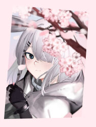 Rule 34 | 1girl, animal ears, ao oni (onioni-aoi), arknights, black eyes, black gloves, blush, cherry blossoms, closed mouth, frostnova (arknights), gloves, grey hair, hair ornament, hair over one eye, hairclip, highres, hood, hood down, long hair, looking at viewer, petals, rabbit ears, scar, scar on face, scar on nose, smile, solo, upper body