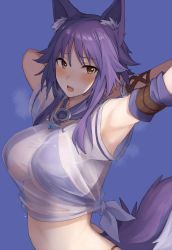 Rule 34 | 1girl, animal ear fluff, animal ears, arm belt, arm strap, armpits, arms behind head, arms up, bikini, bikini under clothes, blouse, blue background, blush, breasts, brown eyes, criss-cross halter, halterneck, highres, large breasts, looking at viewer, makoto (princess connect!), makoto (summer) (princess connect!), medium hair, mobu, open mouth, princess connect!, purple bikini, purple hair, see-through, see-through shirt, shirt, short sleeves, sidelocks, simple background, solo, steam, steaming body, sweat, swimsuit, tail, tied shirt, white shirt, wolf ears, wolf girl, wolf tail