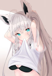 Rule 34 | 1girl, absurdres, ahoge, animal ear fluff, animal ears, armpits, black bra, blush, bra, braid, breasts, cleavage, clothes in mouth, commentary request, earrings, fox ears, fox girl, green eyes, hair between eyes, hands in hair, highres, hololive, jewelry, long hair, looking at viewer, maikro, medium breasts, mouth hold, shirakami fubuki, shirt, shirt in mouth, sidelocks, simple background, single braid, solo, underwear, upper body, virtual youtuber, white background, white hair, white shirt