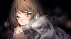 Rule 34 | 1girl, breath, brown hair, close-up, cold, dark background, green eyes, grey scarf, highres, long hair, looking at viewer, original, own hands together, plaid, plaid scarf, scar, scarf, shi wo 3, sleeves past wrists, solo