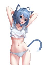 1girl absurdres ahoge animal_ear_fluff animal_ears arms_behind_head arms_up blue_eyes blue_hair breasts cat_ears cat_girl cat_tail covered_erect_nipples cowboy_shot crop_top crossed_bangs dot_nose gluteal_fold hair_between_eyes highres looking_to_the_side medium_hair navel no_pants open_mouth original panties pjman short_sleeves simple_background small_breasts solo standing stomach tail underwear white_background white_panties