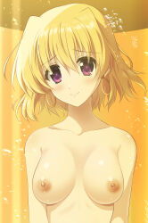 Rule 34 | 1girl, blonde hair, blush, breasts, closed mouth, earrings, endori, highres, jewelry, large breasts, looking at viewer, lyrical nanoha, mahou shoujo lyrical nanoha strikers, nipples, nude, purple eyes, shamal, short hair, smile, solo, stasis tank, upper body