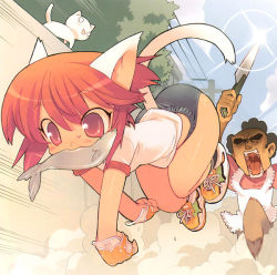 Rule 34 | 2girls, animal ears, blade, blade (galaxist), buruma, cat, cat ears, cat tail, chasing, fingerless gloves, fish, glint, gloves, jumping, knife, mouth hold, multiple girls, red eyes, red hair, running, shoes, short hair, sneakers, tail