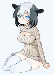 Rule 34 | 1girl, animal ears, black hair, blue eyes, breasts, cleavage, dress, hair between eyes, highres, jpeg artifacts, large breasts, looking at viewer, md5 mismatch, meme attire, multicolored hair, open-chest sweater, panties, ribbed sweater, simple background, sitting, smile, solo, sweater, sweater dress, thighhighs, tsukasa takashi, two-tone hair, underwear, white hair, white panties, white thighhighs, yokozuwari