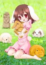 Rule 34 | 1girl, animal ears, bad id, bad pixiv id, barefoot, brown hair, feet, female focus, inaba tewi, momose rin, rabbit, rabbit ears, rabbit girl, rabbit tail, red eyes, short hair, sitting, soles, solo, tail, toes, too many, too many rabbits, touhou