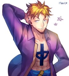 Rule 34 | 1boy, blonde hair, character name, jolly roger, lowres, male focus, marco (one piece), one piece, open clothes, open shirt, pirate, purple shirt, sanme, sash, shirt, smile, solo, tattoo