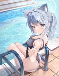 Rule 34 | 1girl, absurdres, animal ear fluff, animal ears, black one-piece swimsuit, blue archive, blue eyes, breasts, commentary request, competition swimsuit, cross hair ornament, extra ears, from behind, grey hair, hair ornament, halo, highres, looking at viewer, looking back, low ponytail, medium breasts, medium hair, mismatched pupils, multicolored clothes, multicolored swimsuit, official alternate costume, one-piece swimsuit, pool, pool ladder, shiroko (blue archive), shiroko (swimsuit) (blue archive), sitting, soaking feet, solo, swimsuit, teeth bro, water, wolf ears