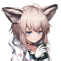 Rule 34 | 1girl, ahoge, animal ear fluff, animal ears, arknights, black choker, blue eyes, choker, fox ears, gloves, highres, infection monitor (arknights), jacket, light brown hair, material growth, oripathy lesion (arknights), penguin4, short hair, simple background, smile, solo, sussurro (arknights), upper body, white gloves, white jacket