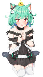Rule 34 | 1girl, :d, ahoge, animal, animal ear fluff, animal ears, animal on head, backy1005, bare shoulders, bird, bird on head, black choker, black dress, blue hair, blush, cat ears, chick, choker, collarbone, colored tips, dress, fang, flat chest, frilled dress, frilled straps, frilled thighhighs, frills, garter straps, green hair, hair ornament, highres, hololive, low twintails, multicolored hair, off-shoulder dress, off shoulder, on head, open mouth, piyoko (uruha rushia), pom pom (clothes), pom pom hair ornament, red eyes, see-through, see-through sleeves, short hair, short sleeves, short twintails, simple background, sitting, skin fang, skull hair ornament, smile, solo, thighhighs, twintails, uruha rushia, uruha rushia (3rd costume), virtual youtuber, wariza, white background, white garter straps, white thighhighs, wristband