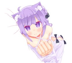 Rule 34 | 1girl, absurdres, ahoge, animal ears, azur lane, bite mark, blush, cat ears, closed mouth, dress, elbow gloves, gloves, highres, holding another&#039;s arm, hujikok, interlocked fingers, kemonomimi mode, looking at another, looking at viewer, pout, purple eyes, purple hair, saliva, simple background, solo focus, unicorn (azur lane), white background, white dress, white gloves