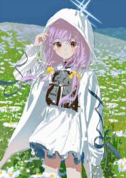 Rule 34 | 1girl, atsuko (blue archive), blue archive, blush, closed mouth, cowboy shot, day, dress, flower, grey halo, halo, highres, jacket, long hair, long sleeves, looking at viewer, open clothes, open jacket, outdoors, purple hair, red eyes, smile, solo, standing, white dress, white flower, white jacket, x158239