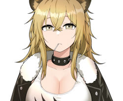 Rule 34 | 1girl, animal ears, arknights, black choker, black jacket, blonde hair, breasts, candy, choker, cleavage, closed mouth, collar, collarbone, expressionless, eyebrows, food, fur-trimmed jacket, fur trim, hair between eyes, highres, jacket, junsuina fujunbutsu, large breasts, leather, leather jacket, lion ears, lollipop, long hair, looking at viewer, open clothes, siege (arknights), simple background, solo, studded choker, studded collar, tank top, upper body, white background, white tank top, yellow eyes