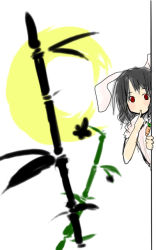Rule 34 | 1girl, animal ears, bamboo, black hair, blush, carrot, carrot necklace, crescent moon, dress, female focus, finger to mouth, inaba tewi, jewelry, looking at viewer, moon, nasubi, necklace, peeking out, rabbit ears, red eyes, short hair, short sleeves, silver hair, simple background, sketch, solo, touhou, white background