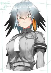 Rule 34 | 10s, 1girl, belt, blush, bodystocking, bodysuit, breast pocket, breasts, collar, collared shirt, green eyes, grey hair, grey legwear, grey shirt, head wings, isshiki (ffmania7), kemono friends, long hair, looking down, low ponytail, multicolored hair, necktie, pocket, shirt, shoebill (kemono friends), short sleeves, simple background, solo, twitter username, upper body, white background, wings