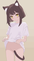 Rule 34 | 1girl, animal ears, bottomless, brown hair, cat ears, cat girl, cat tail, clothes lift, gori wakamaru, lifting own clothes, naked shirt, original, pixel art, pussy, shirt, shirt lift, short hair, short sleeves, tail, tail censor, white shirt, yellow eyes
