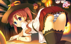 Rule 34 | 1girl, all fours, ass, black thighhighs, blue eyes, cameltoe, fang, hair ornament, hairclip, hat, highres, jack-o&#039;-lantern, long hair, musical note, nonomiya ai, panties, pantyshot, pink hair, shunki gentei poco a poco!, skirt, solo, striped clothes, striped panties, takoyaki (roast), thighhighs, twintails, underwear, upskirt, witch hat