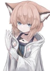 Rule 34 | 1girl, absurdres, animal ear fluff, animal ears, arknights, black choker, blue eyes, blue shirt, brown hair, choker, closed mouth, gloves, hair between eyes, hands up, highres, jacket, looking at viewer, material growth, open clothes, open jacket, oripathy lesion (arknights), piennamekuzi, shirt, simple background, solo, sussurro (arknights), white background, white gloves, white jacket