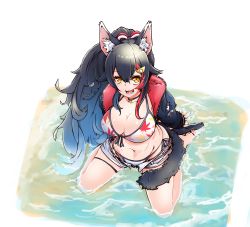 Rule 34 | 1girl, :d, animal ears, bikini, bikini under clothes, black hair, breasts, cleavage, front-tie bikini top, front-tie top, hair ornament, hairclip, highres, hololive, hood, hoodie, in water, kneeling, large breasts, ookami mio, ookami mio (hololive summer 2019), open mouth, ponytail, side-tie bikini bottom, smile, solo, swimsuit, tail, virtual youtuber, wolf ears, wolf tail, yagapan, yellow eyes